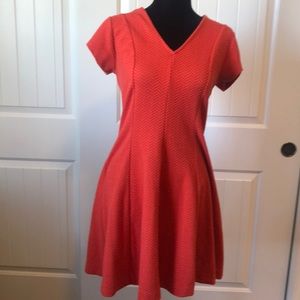 Clearance! Banana Republic Fit and Flair dress
